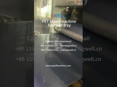 Máy ép tấm PET từ 100% vật liệu tái chế cho khay hạt giống
